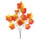 Option Orange Yellow