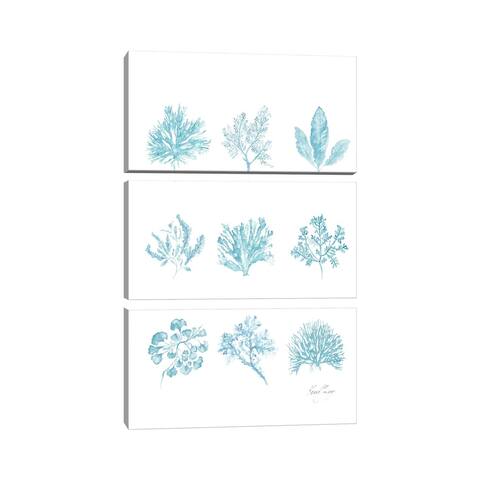 iCanvas "French Blue Coral Collection" by Kerri Shipp 3-Piece Wall Art Set