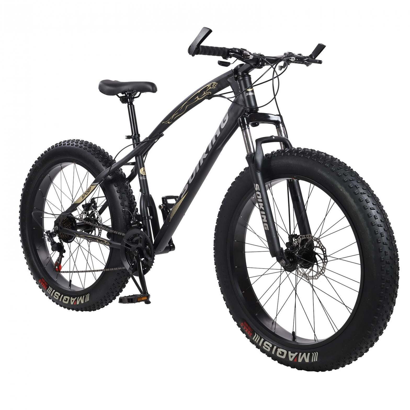 Fat bike 21 gears top