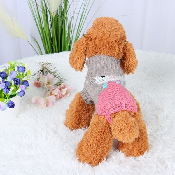 dog knitwear