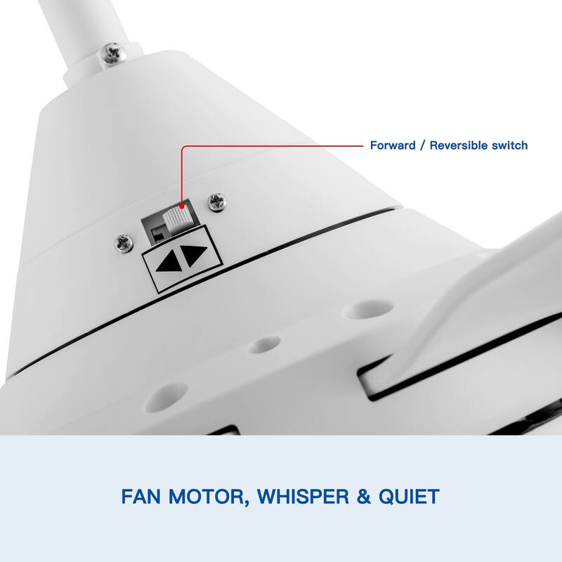 6 Speeds Integrated LED Ceiling Fan Lighting with Remote Control, 30 inch Low Profile Ceiling Fans with 5 Reversible Blades