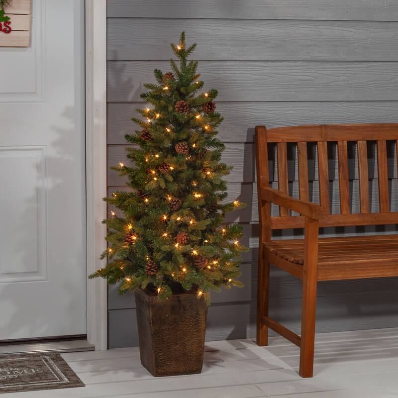 Charming 4 Foot Potted Natural Cut Georgia Pine