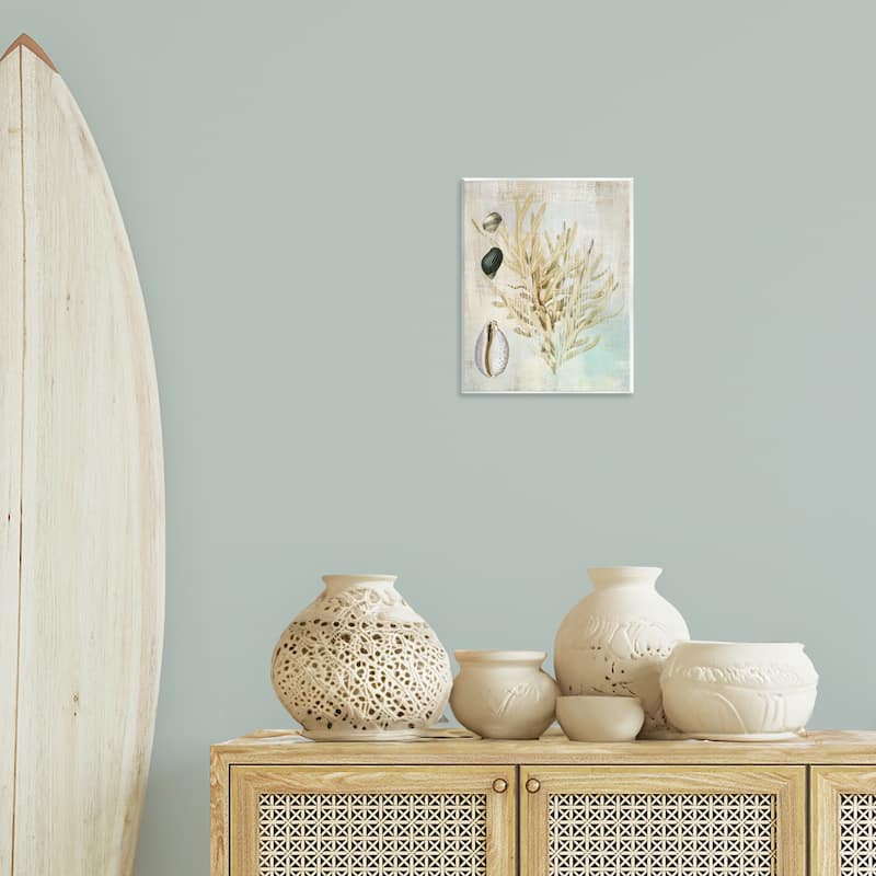 Stupell Coral Branch & Cowrie Shells Wall Plaque Art Design By Susan Arnot