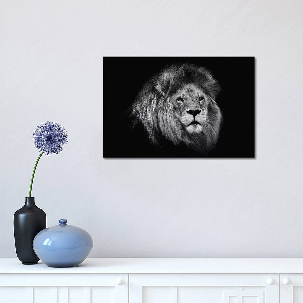 iCanvas "African Lion In Black And White" by David Whelan Canvas Print