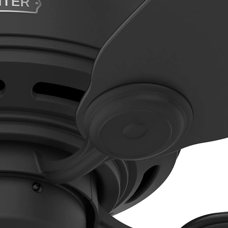 Hunter 42" Low Profile IV Flush Mount Ceiling Fan and Pull Chain, Matte Black - Traditional, Transitional