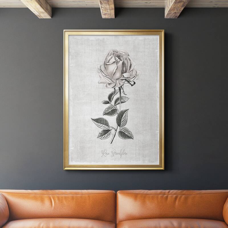 Vintage Botanical II Premium Framed Print - Ready to Hang