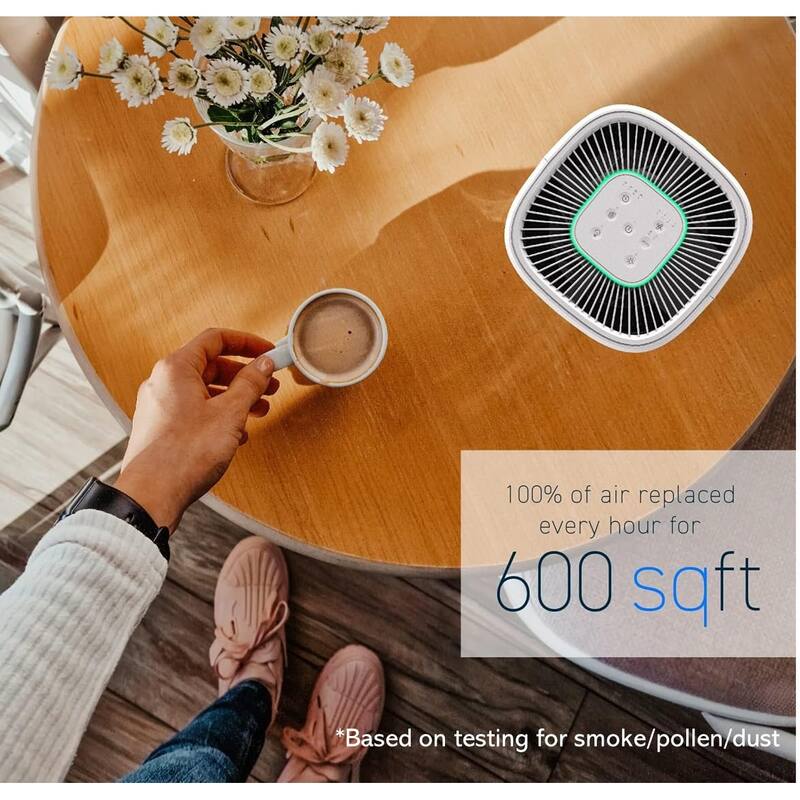 Smart Air Purifiers for Desktop HSE600 True HEPA Air Purifier