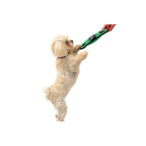miami marlins dog jersey