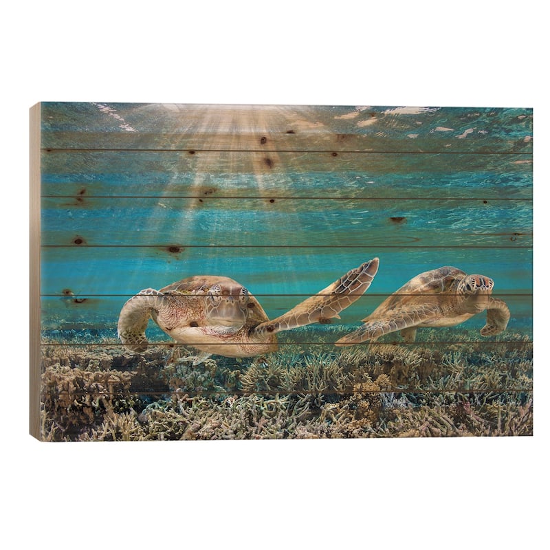 Fin Slapping Print On Wood by Jordan Robins - Multi-Color - 26x40x1.5