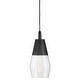 preview thumbnail 1 of 3, Lark 83397 Livie 1 Light 8" Wide Mini Pendant / Semi-Flush Ceiling Black