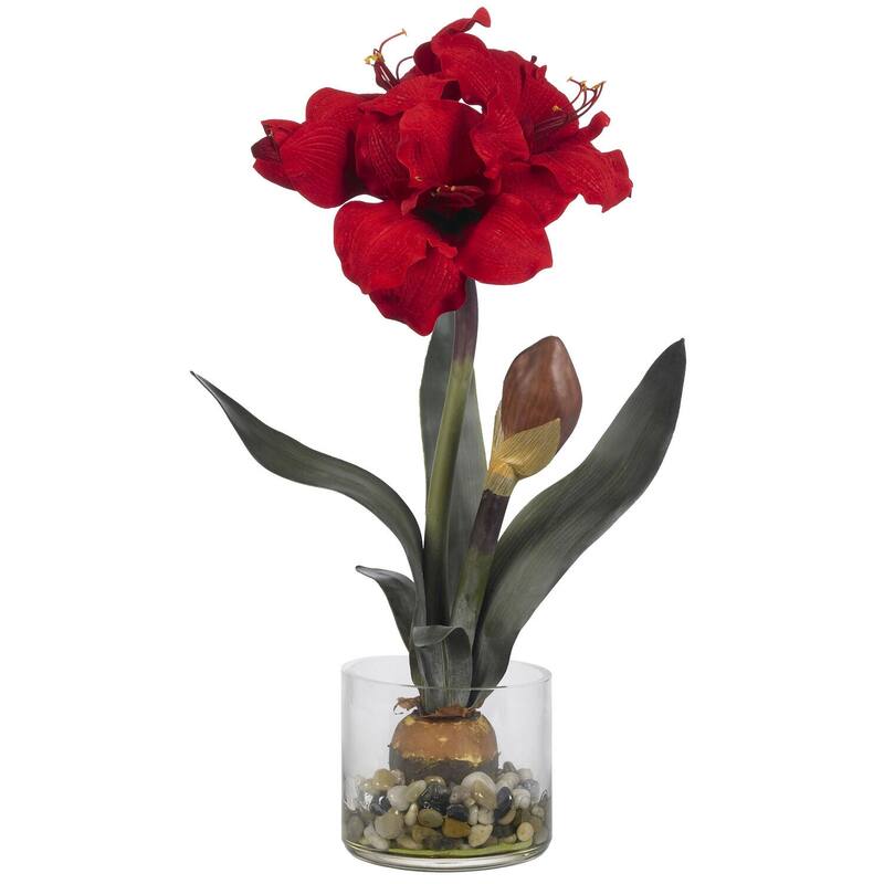 Silk Amaryllis Plant 20" Red Blooms in Vase - Home Decor Accent with Rocks & Water - Realistic Artificial Flower Arrangement