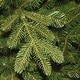 preview thumbnail 6 of 5, National Tree Company 7.5' Norwegian Spruce Christmas Tree - 7.5 Foot