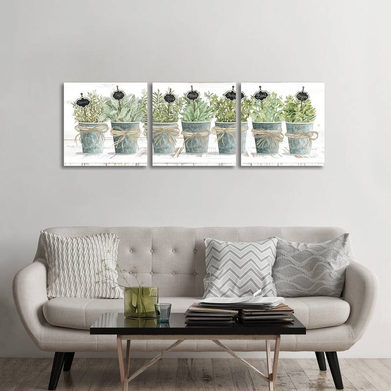 iCanvas "Herbs In A Row" by Cindy Jacobs 3-Piece Wall Art Set - 24x72x1.5