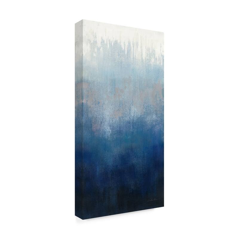 (TARGET EXCLUSIVE) Silvia Vassileva 'Silver Wave I' Canvas Art