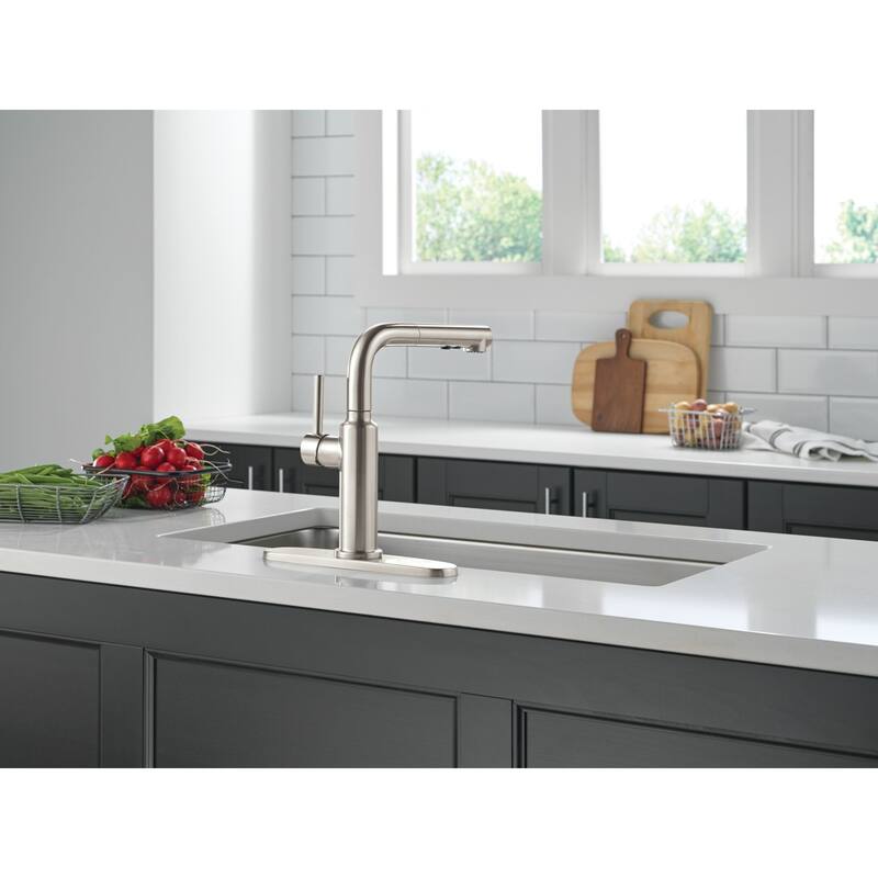 Delta 16879-DST Daneri 1.8 GPM Single Handle Pull Out Kitchen Faucet