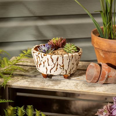 7" Ceramic Crackled Planter