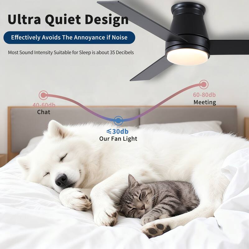 48" Black Lowe Profile Ceiling Fan with Light - Black,Brown