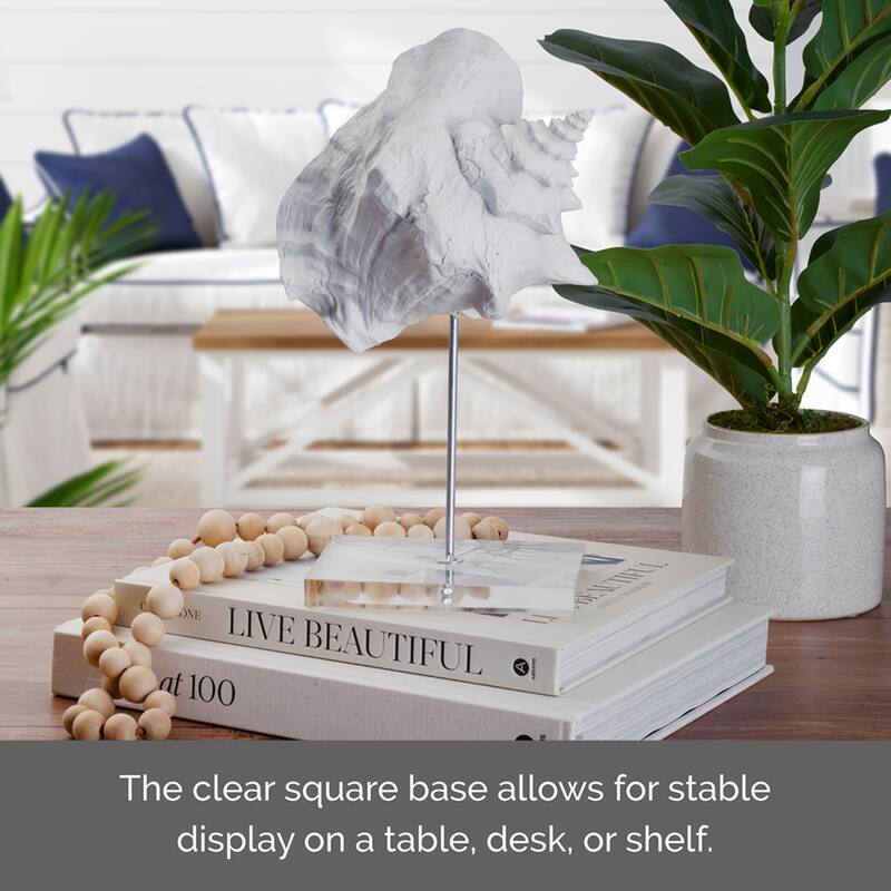 Elements White Conch Seashell Figurine, 7X12 Inch