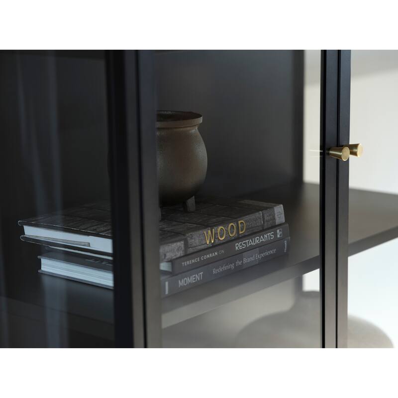 Rye Studio Cairyn Modern Glass and Metal Cabinet