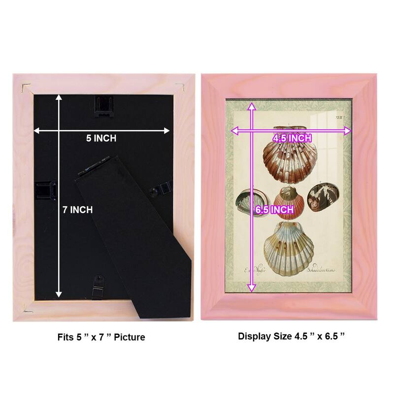 Bookplate Shells III -Framed Print w/glass-Cherry Red