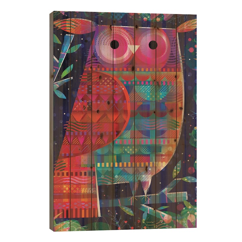 Pattern Owl Print On Wood by Gareth Lucas - Multi-Color - 40x26x1.5
