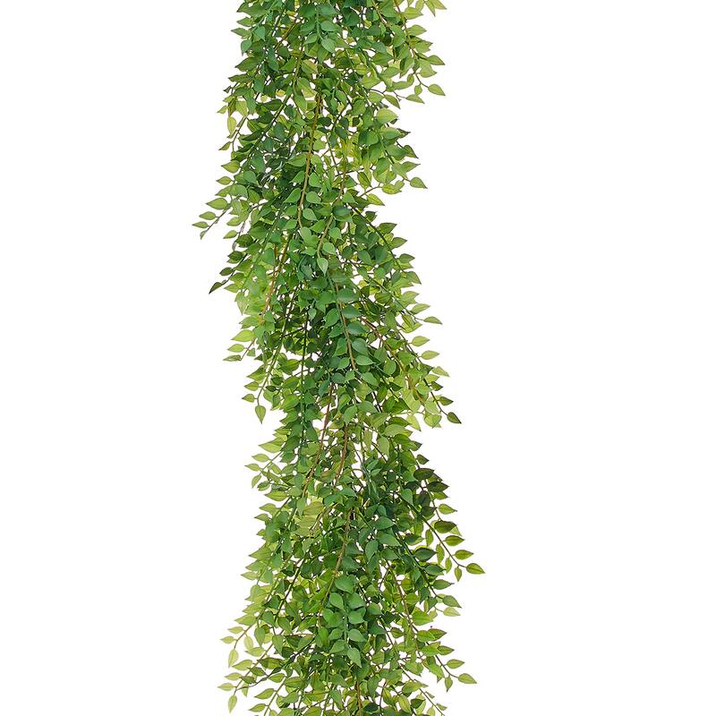 48" Italian Ruscus Garland