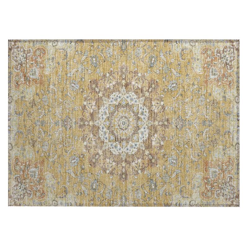 Machine Washable Indoor/ Outdoor Traditional Awaka Chantille Rug