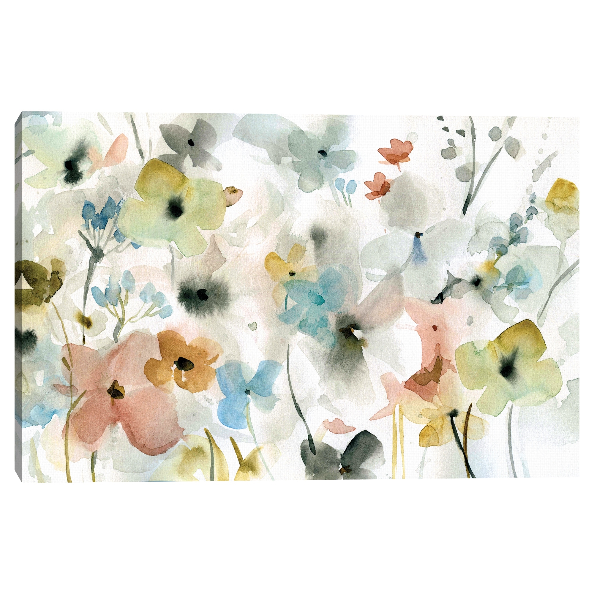 Garden Variety by Carol Robinson Canvas Art Print