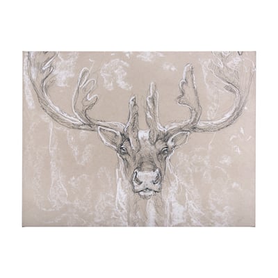 Sketch of Animal II (Caribou) (56 x 42) Canvas Art Print