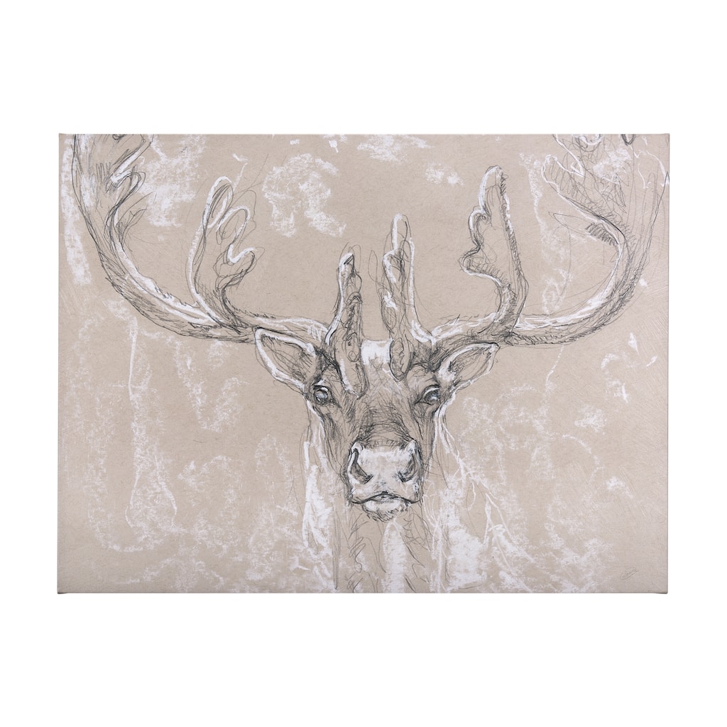 Sketch of Animal II (Caribou) (56 x 42) Canvas Art Print