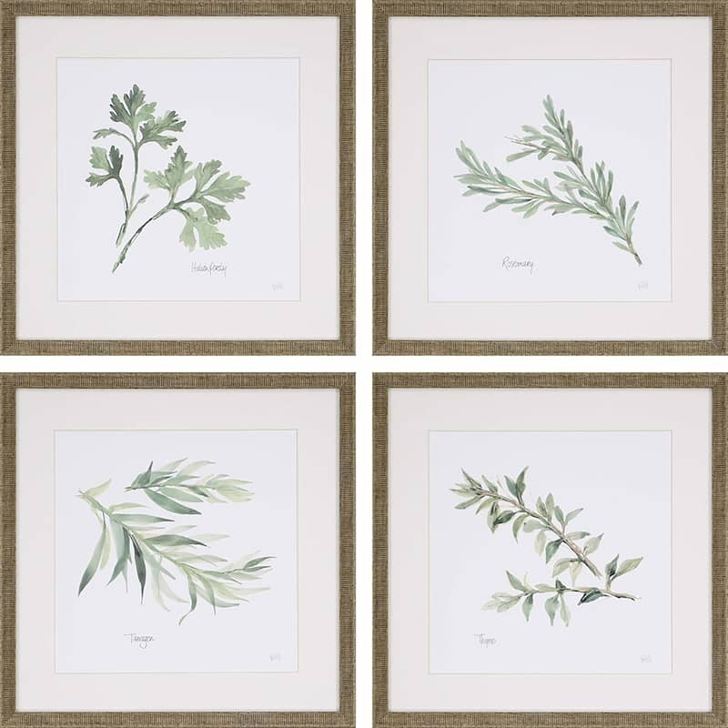 Herbs S/4 Framed Art Under Glass - Green - 17 X 17 X 1