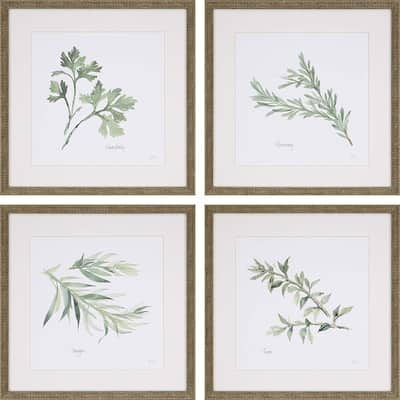 Herbs S/4 Framed Art Under Glass - Green