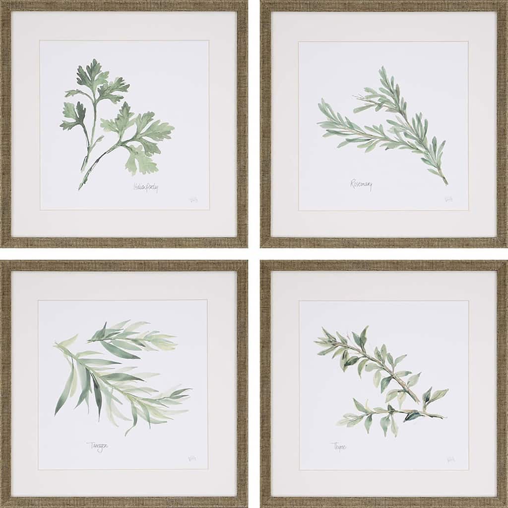 Herbs S/4 Framed Art Under Glass - Green