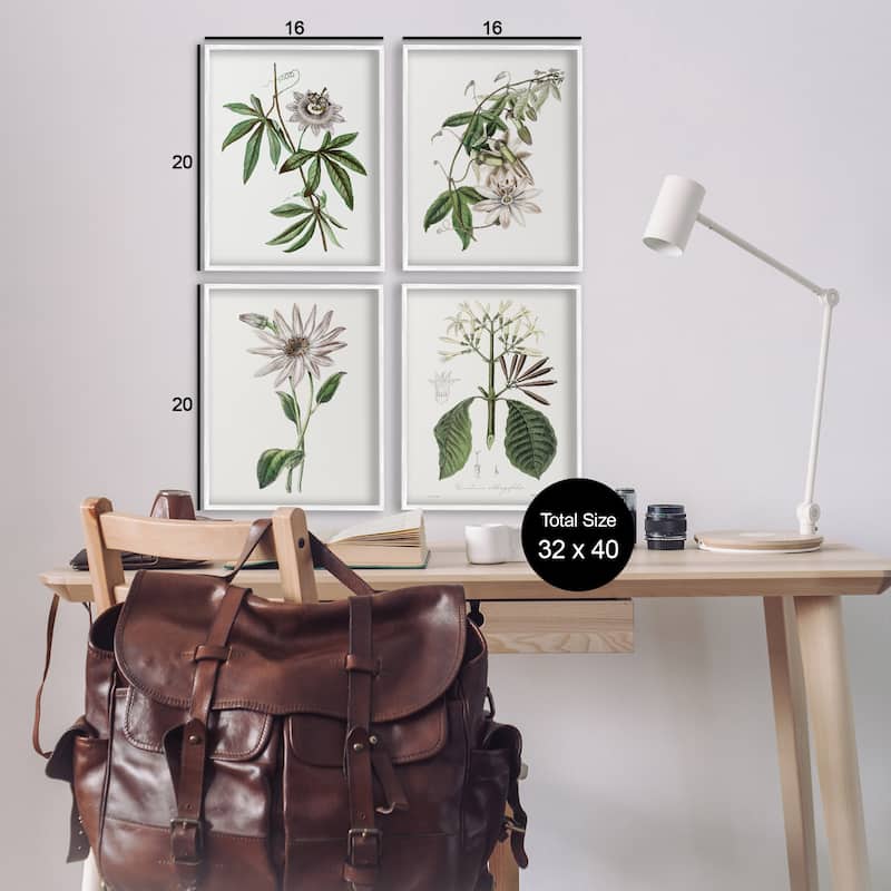 Stupell Various Vintage Botanicals Framed Giclee Art Design By CAD Design (Set of 4)