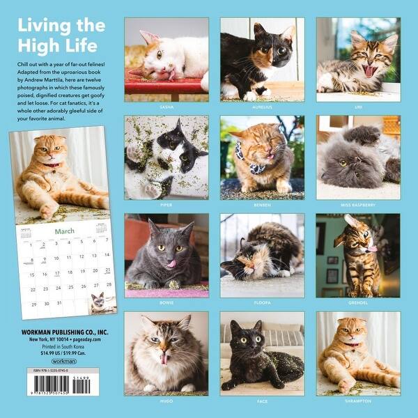 Shop Calendars Cats On Catnip Wall Calendar With High Quality
