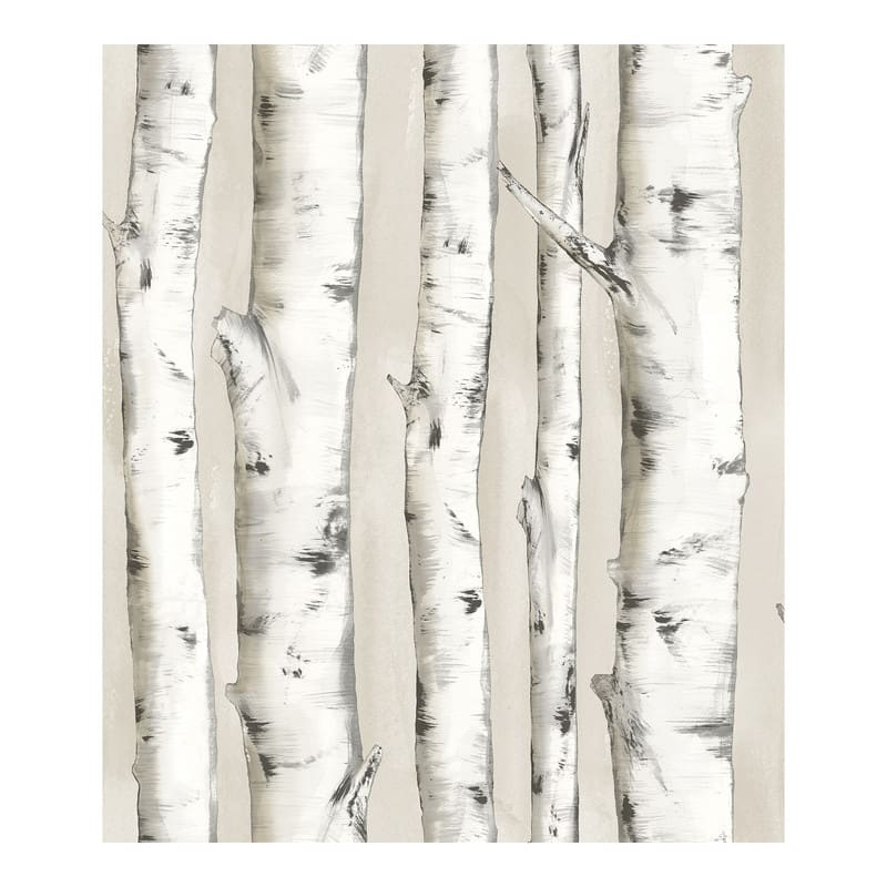 Chesapeake Pioneer Off-White Birch Tree Wallpaper - 20.5 x 396 x 0.025