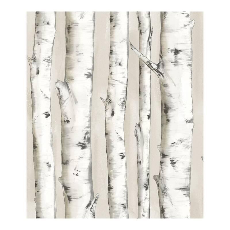 Chesapeake Pioneer Off-White Birch Tree Wallpaper - 20.5 x 396 x 0.025