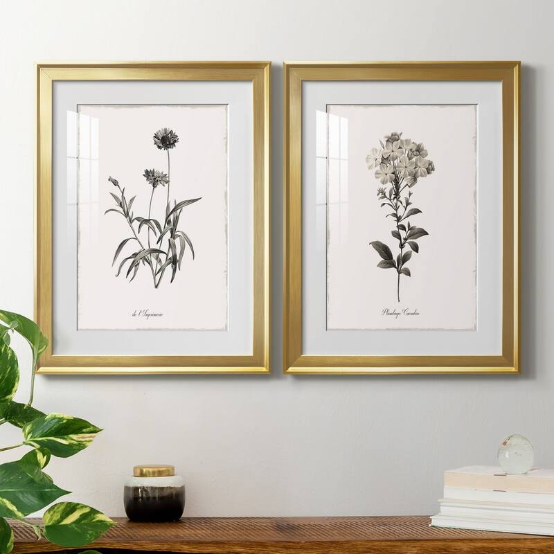 Sketchbook Imperial Premium Framed Print - Ready to Hang