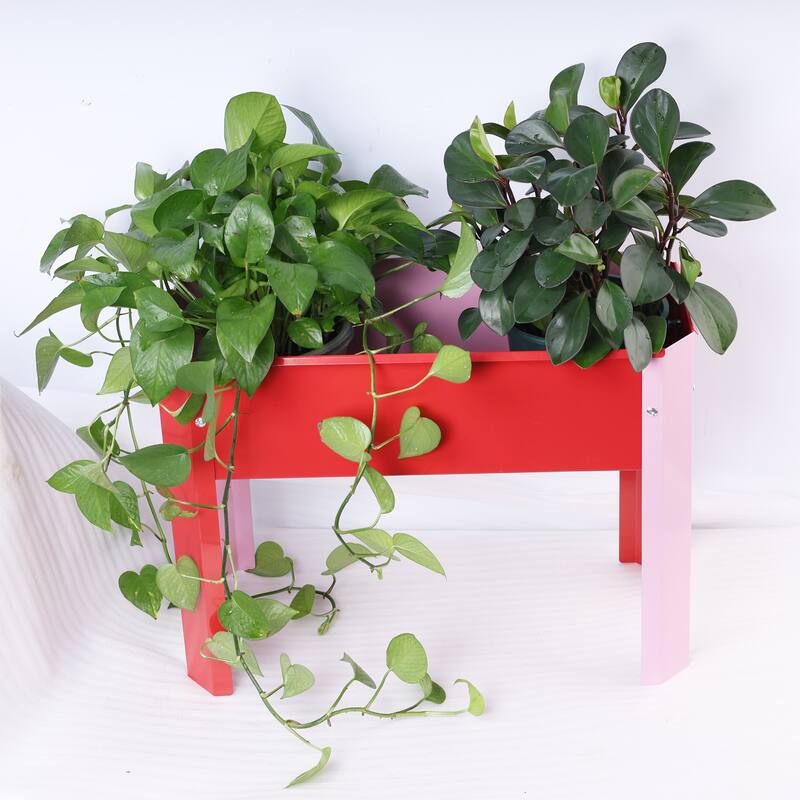 Outdoor Galvanized Raised Garden Bed Elevated Garden Planter Flowerpot Box with Legs for Gardening Vegetables Flower - Red