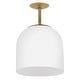 preview thumbnail 4 of 9, Hinkley Lighting 45097 Willa 12" Wide Pendant