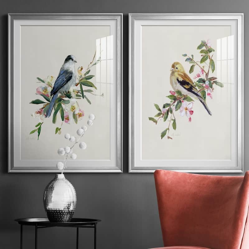 Spring Song Gray Jay Premium Framed Print - Ready to Hang