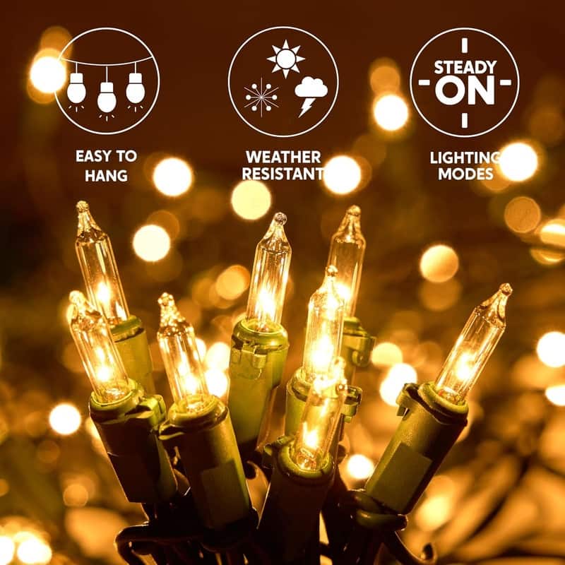 Joyfy 2-Pack 100 Warm White Christmas Net Lights