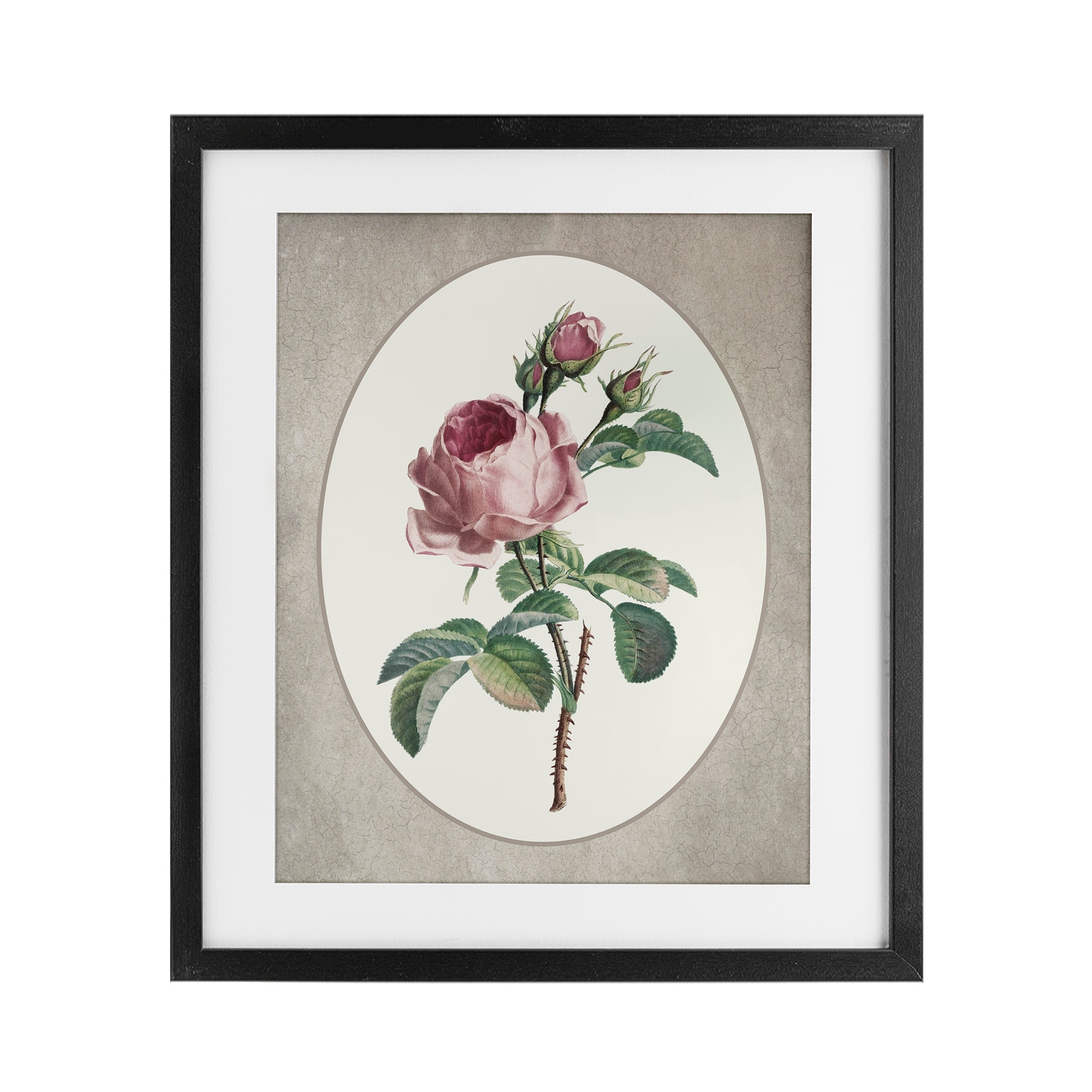 Stupell Vintage Rose within Oval Under Glass Framed Design By Lettered and Lined