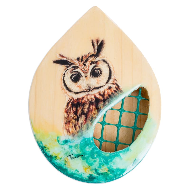 Novica Handmade Owl Nature Wood Wall-Mounted Planter