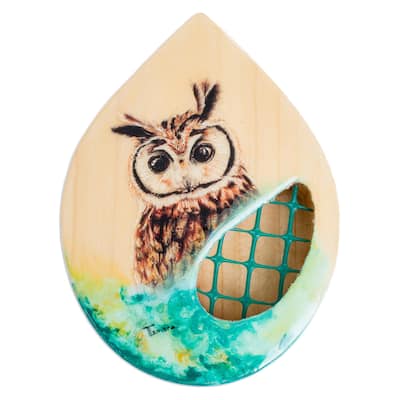 Novica Handmade Owl Nature Wood Wall-Mounted Planter