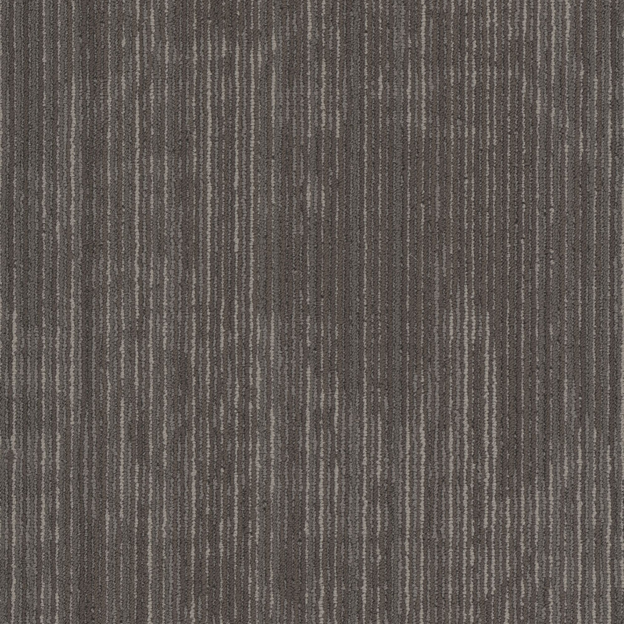 Shaw Philadelphia Commercial Encrypt 18" x 36" Glue Down Carpet Tile -