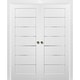 French Double Pocket Doors Frames / Quadro 4117 White Silk Frosted ...
