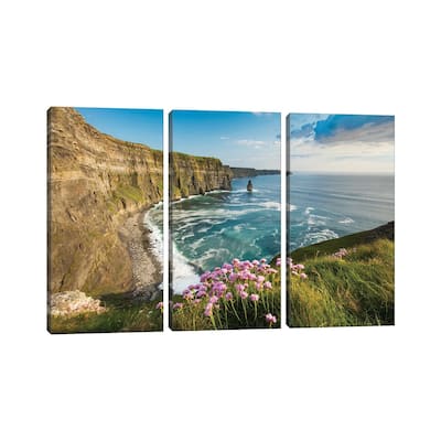 iCanvas "Thrift On The Cliffs Of Moher II" by Gareth McCormack 3-Piece Canvas Wall Art Set