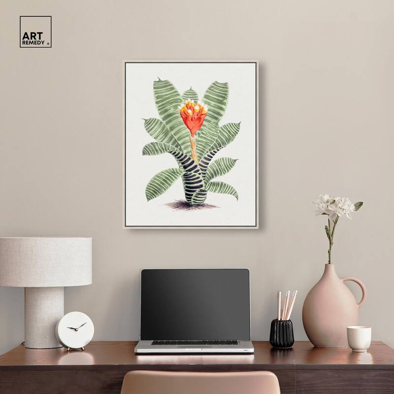 Tillandsia Musaica Plant Canvas by Art Remedy