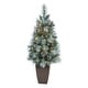 preview thumbnail 1 of 3, 3.5' Frosted Artificial Christmas Tree with 50 Lights in Planter